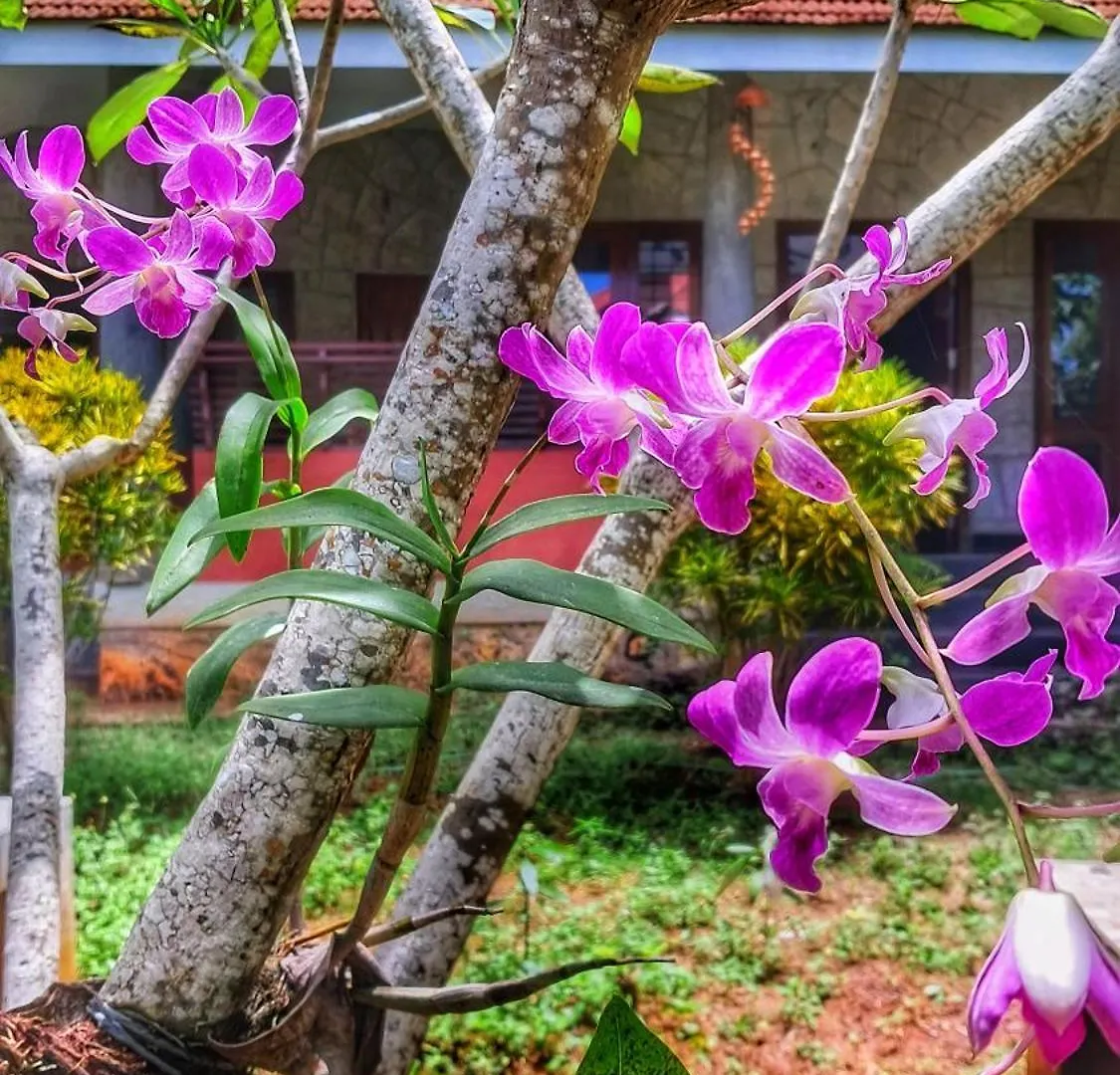 Vedic Heritage Boutique Hotel Ковалам Индия